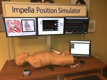 Impella heart pump