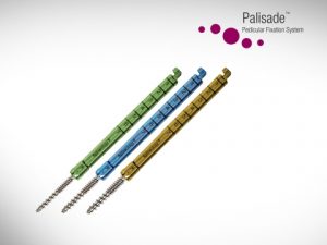 PalisadeAppImage1