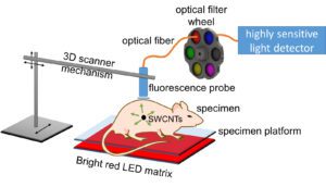antibody-linked carbon nanotubes