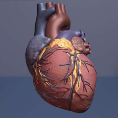 heart mesh