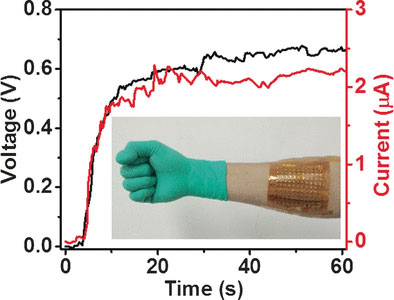 voltage-from-body-heat