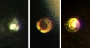 Metallic hydrogen Harvard