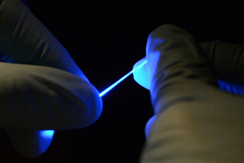 study spinal cord rubbery fibers MIT