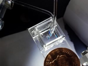 3D bioprinting