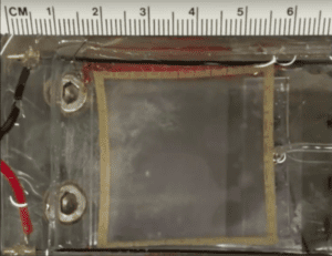 Duke Heart Tissue