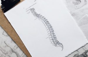 spine surgery