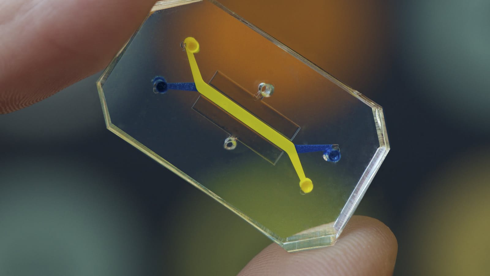 Organ-on-Chip Market