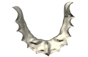 D3D retainer
