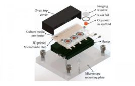 MIT India 3D printed microfluidic bioreactor