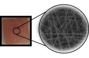 Piezo picture copy UC Riverside