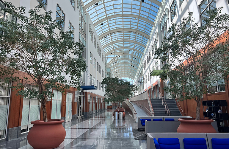 Trees inside the Corindus HQ's glass-roofed atrium