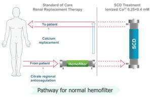 A graphic showing the path of a patient's blood through a continuous renal replacement therapy device filter, into SeaStar Medical's Selective Cytopheretic Device, and then back into the patient's body.