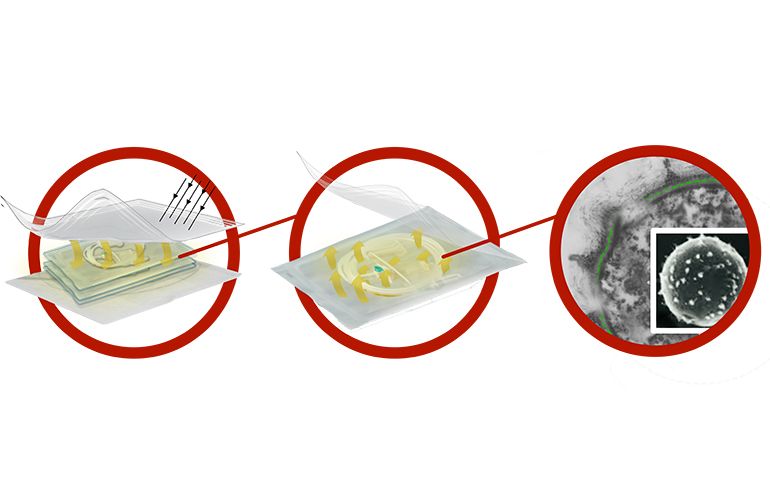 How Phiex could revolutionize medical device sterilization