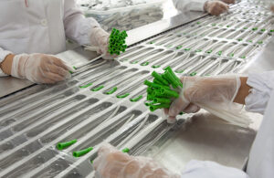 A photo of catheter production, with gloved hands assembling medical devices.