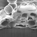 A scanning electron microscope image showing methicillin-sensitive Staphylococcus aureus (MSSA) bacteria being killed by Orthobond's Ostaguard antimicrobial coating.