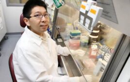 Yuanwei Yan wisconsin brain tissue 3D printing