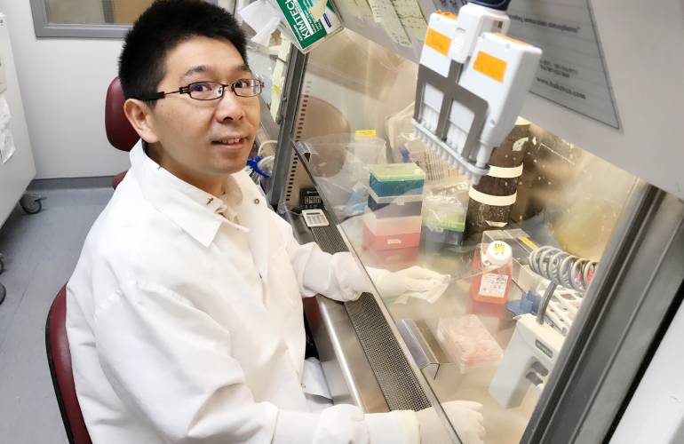 Researchers 3D print functional brain tissue