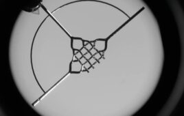 Boston University Havard Wyss Gallium tissue engineering ESCAPE