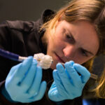A photo of Capstan Medical Head of Delivery Systems and Accessories Evelyn Haynes works on the device developer's catheter-delivered heart valve implant.
