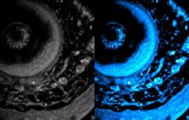 MIT Deep Metabolic Imaging Method (1)