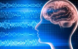 Brain EEG rendering from peterschreiber.media on Adobe Stock
