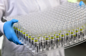 A photo showing a thermoformed work in process (WIP) tray for automated manufacturing and assembly of medical devices and pharmaceuticals.