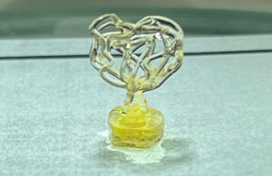 A photo of a perfusable blood vessel made by Auxilium Biotechnologies with its proprietary 3D bioprinting technology.