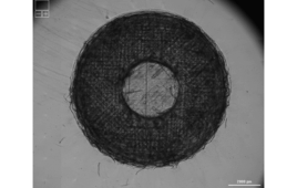 3d printed lung scaffold.