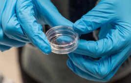ETH Zurich Hydrogel for bone implants (1)