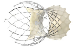 A photo of the Medtronic Evolut Pro+ heart