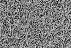 An image showing ePTFE membrane with scanning electron microscopy.