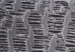An image showing an ePTFE vascular graft with scanning electron microscopy.