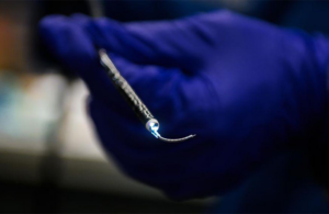 WPI Lois Fichera Flexible optical fiber technology in an endoscope