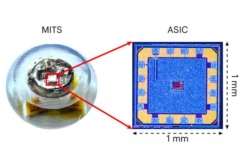 An image of MITS and its tiny chip.