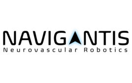 The Navigantis logo.