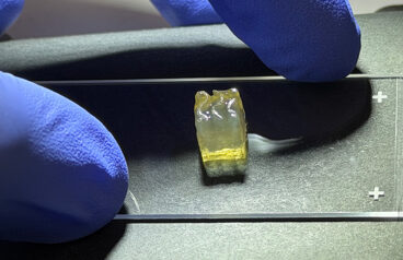 A photo of liver tissue bioprinted in space by Auxilium Biotechnologies.