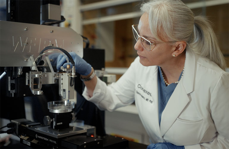 A photo of Dr. Claudia Chavez-Munoz.