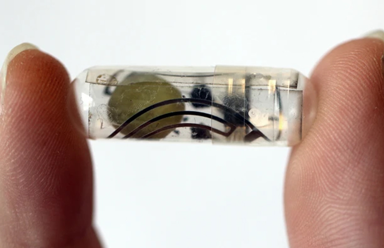 The 1.84 volt paper battery (brown circle structure) was tested in pigs with a bioabsorbable radio-frequency identification (RFID) device.
