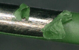 Passing the tape test doesn’t mean your coating is reliable