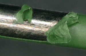 A photo of PTFE coating delamination.